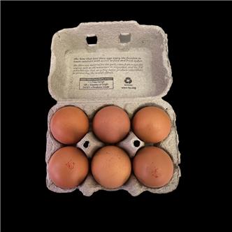 6 Free Range Eggs