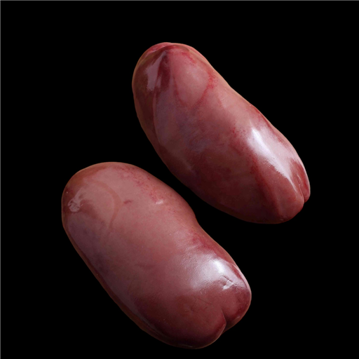 Pig Kidney