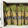 British Daffodils (30 stems)