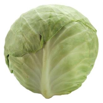 White Cabbage