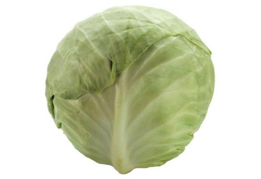 White Cabbage