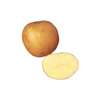 Washed White Potatoes 2Kg