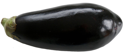 Aubergine