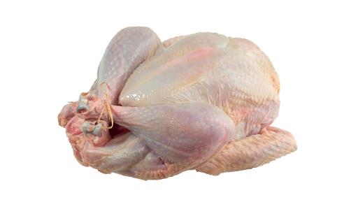 Fresh Turkey