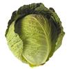 Green Cabbage