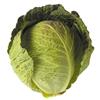 Savoy Cabbage