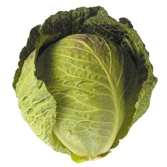 Savoy Cabbage