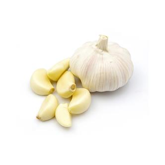 Garlic Bulb