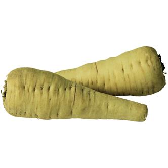 Parsnips from Old Brampton