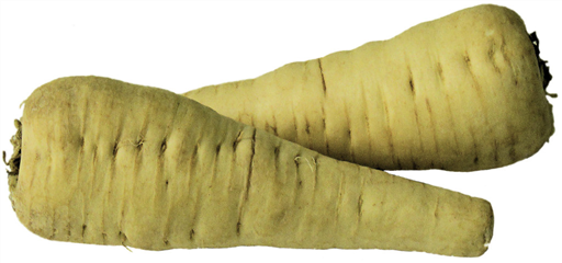 Parsnips From Old Brampton