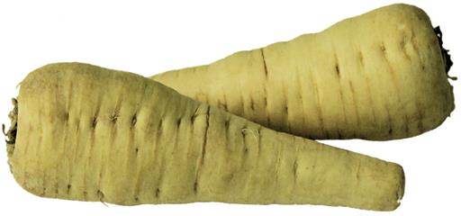 Parsnips from Old Brampton
