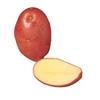 Washed Red Potatoes 2Kg