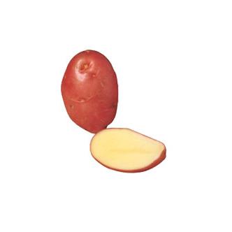 Washed Red Potatoes 2Kg