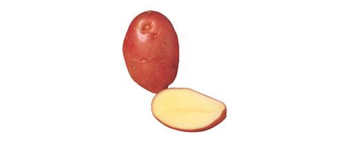 Washed Red Potatoes 2Kg