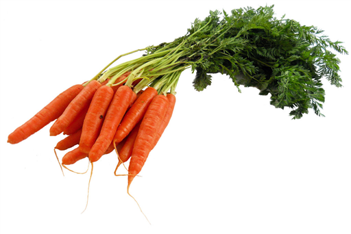 Yorkshire Carrots
