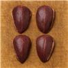 Pigeon Breast x 4