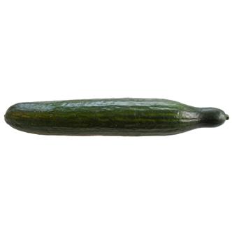 Cucumber