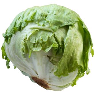 Iceberg Lettuce