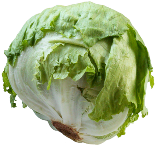 Iceberg Lettuce