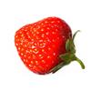 Nottinghamshire Strawberries