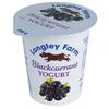 Longley Farm Yoghurt - Blackcurrant 150g