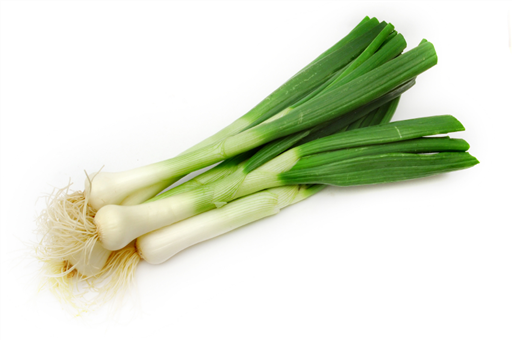 Spring Onions