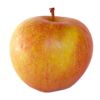 Cox's Apples