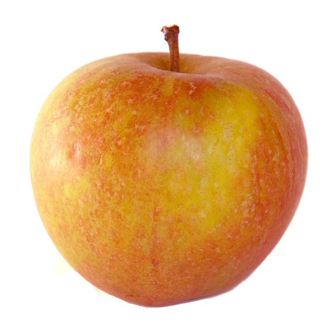 Cox's Apples