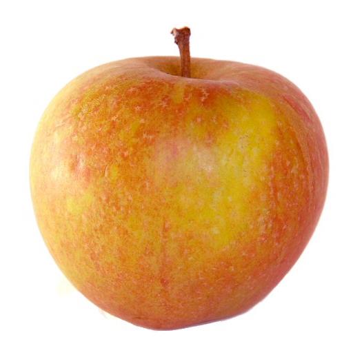Cox's Apples